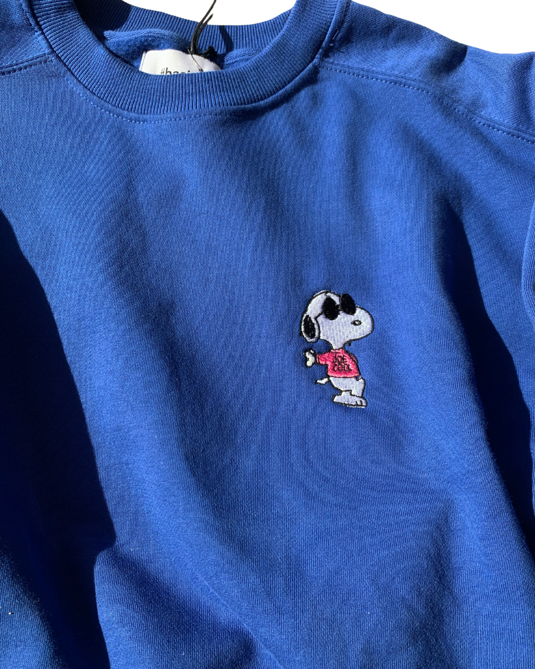 Snoopy Joe Cool